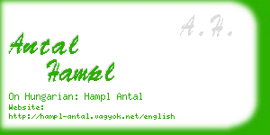 antal hampl business card